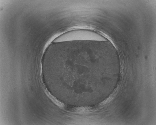 X0000078861179200611271404