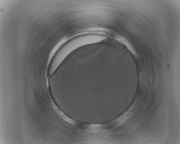 X0000078861180200611271404