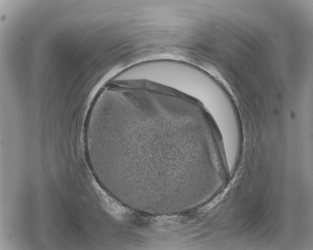 X0000078861181200611271404