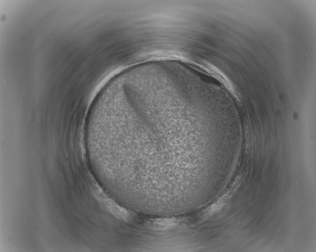 X0000078861182200611271404