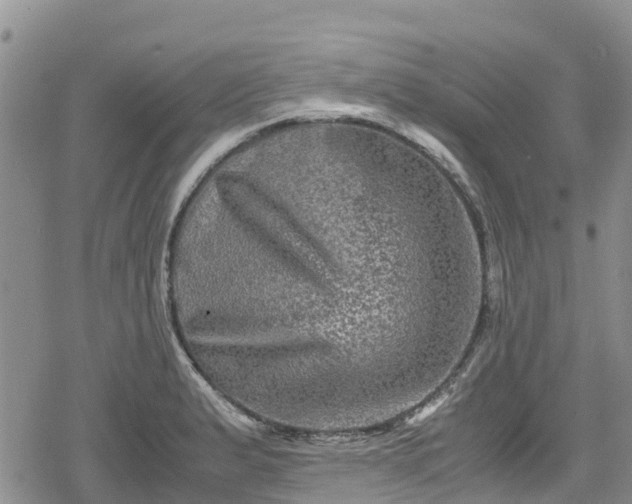 X0000078861183200611271404