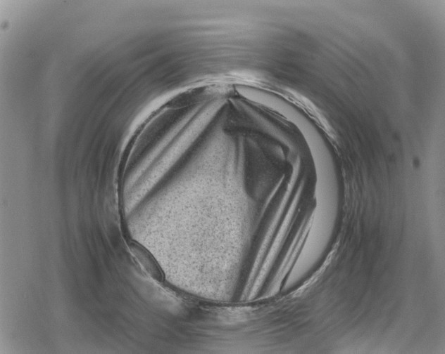 X0000078861184200611271404