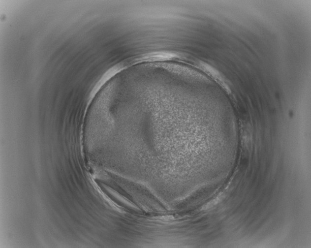 X0000078861186200611271404