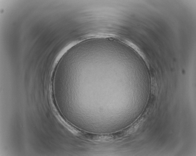 X0000078861187200611271404