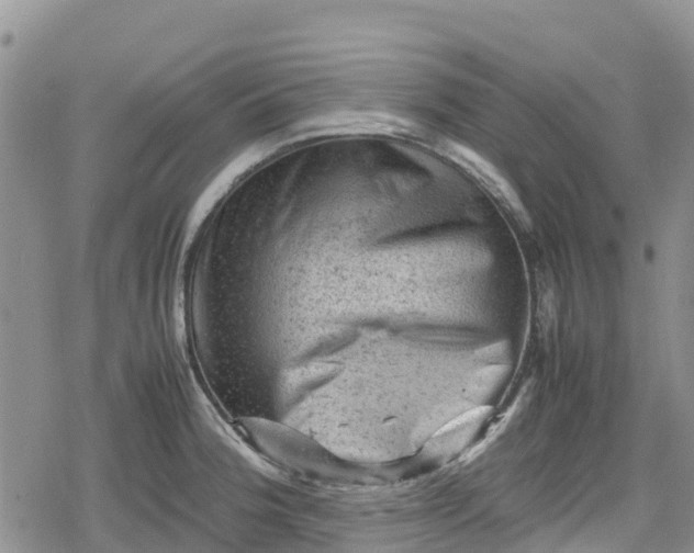 X0000078861188200611271404