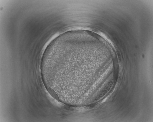 X0000078861189200611271404