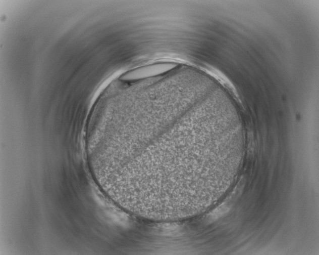 X0000078861190200611271404