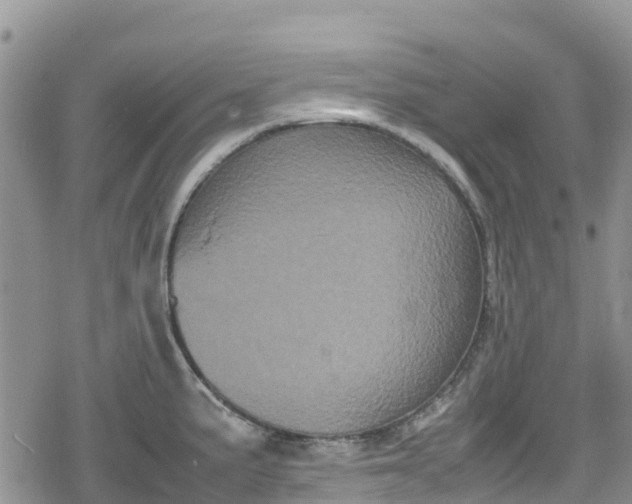 X0000078861191200611271404