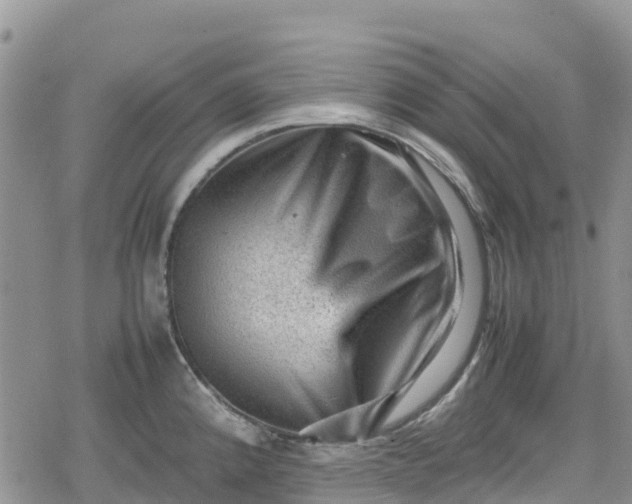 X0000078861192200611271404