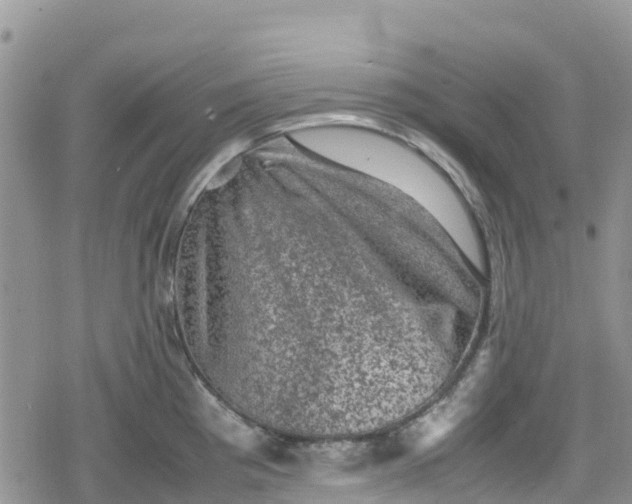 X0000078861193200611271404