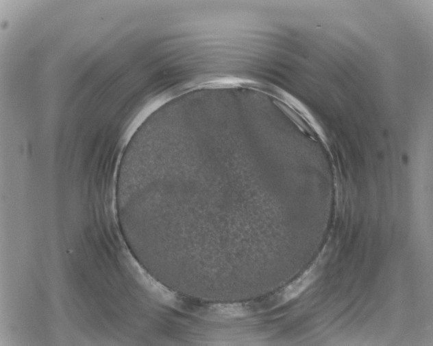 X0000078861194200611271404