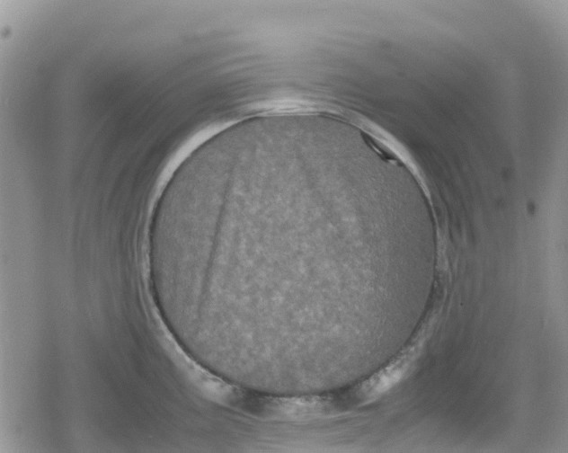 X0000078861195200611271404