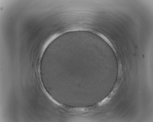 X0000078861197200611271404