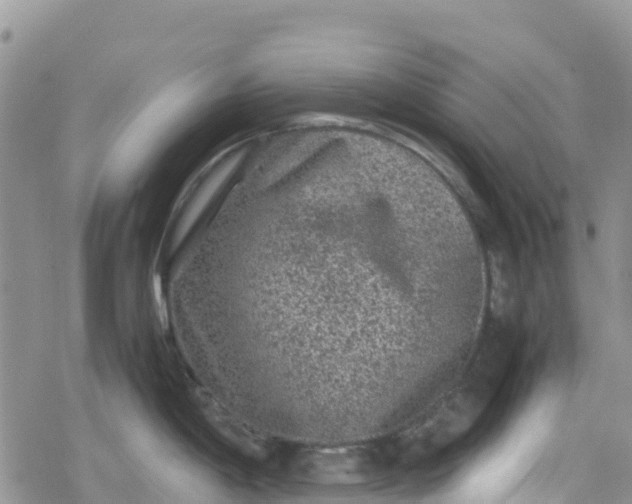 X0000078861198200611271404