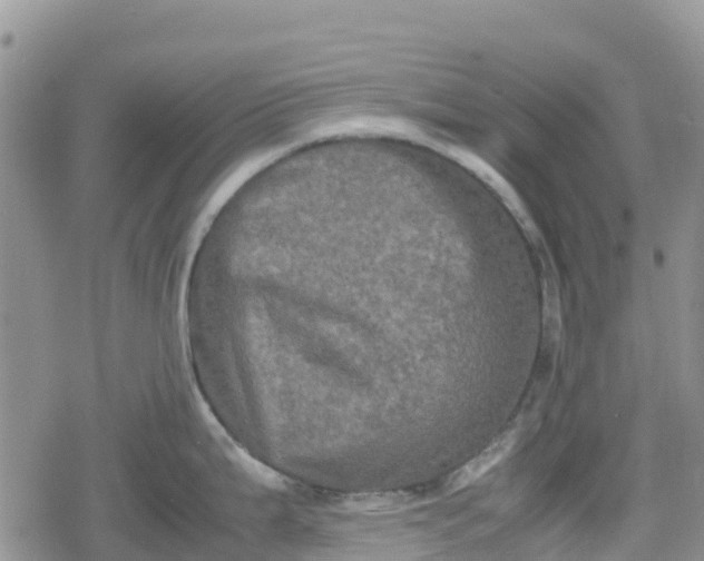 X0000078861199200611271404