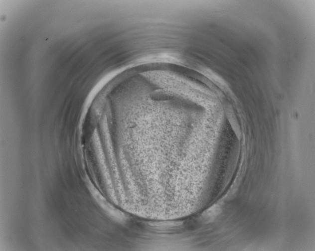 X0000078861200200611271404