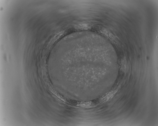 X0000078861201200611271403