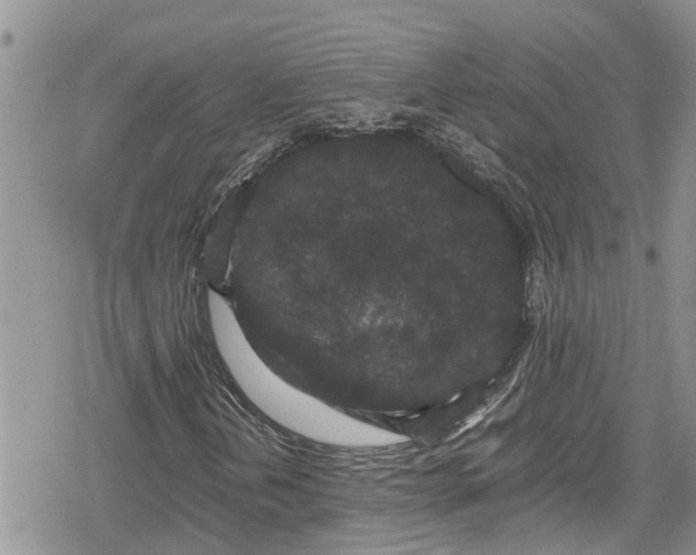 X0000078861202200611271403