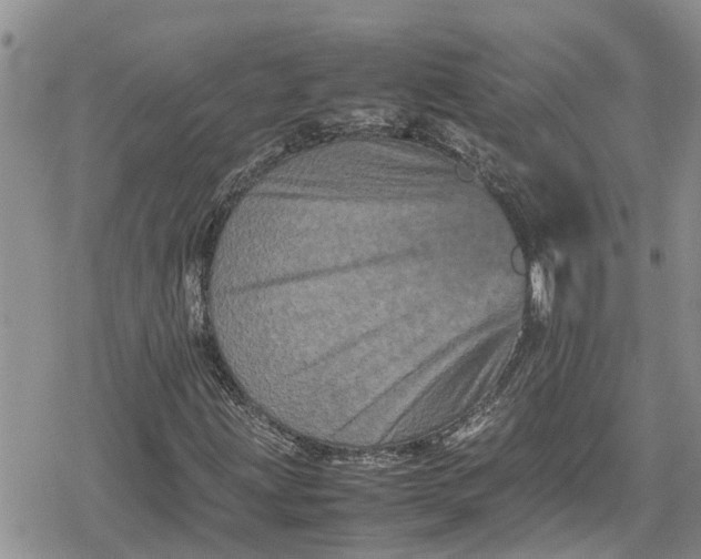 X0000078861203200611271403