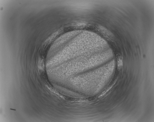 X0000078861204200611271403