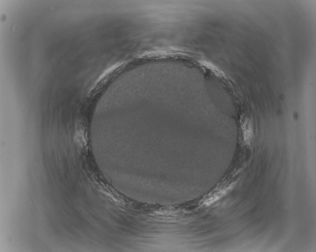 X0000078861206200611271403