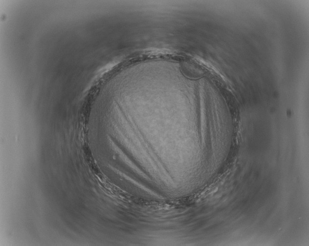 X0000078861207200611271403