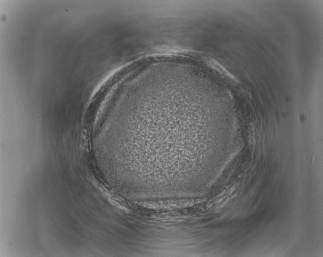 X0000078861208200611271403