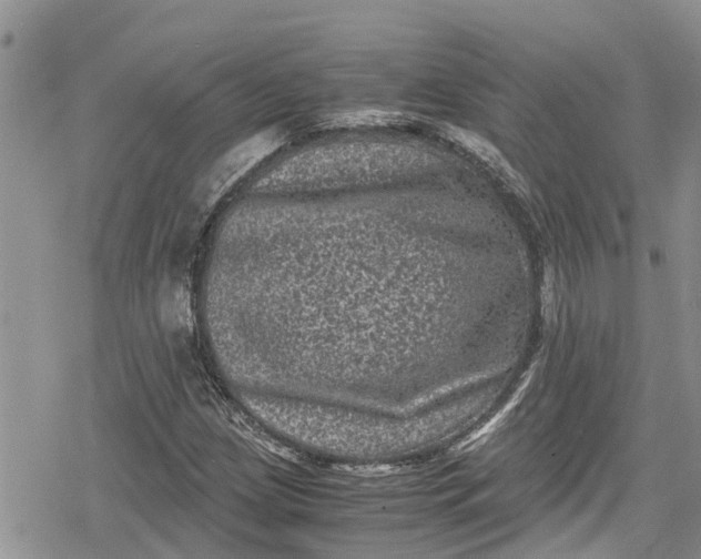 X0000078861209200611271403