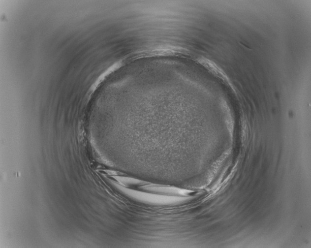 X0000078861210200611271403