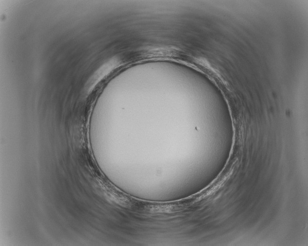 X0000078861211200611271403