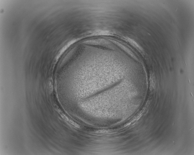 X0000078861212200611271403