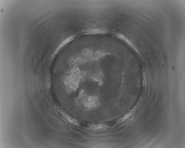 X0000078861213200611271403