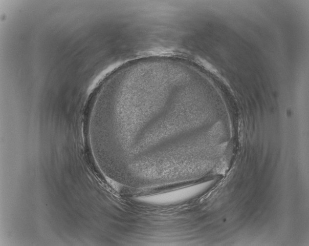 X0000078861214200611271403