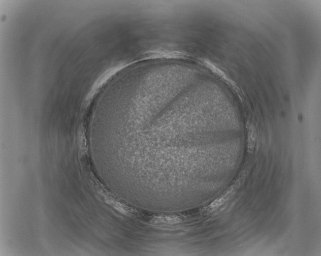 X0000078861215200611271403