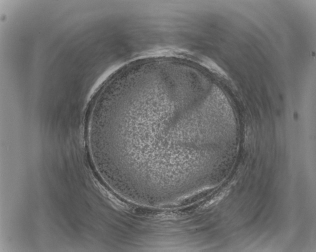 X0000078861216200611271403