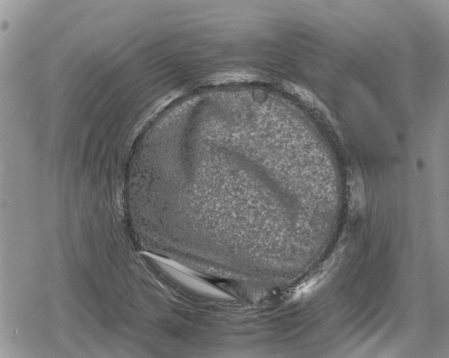 X0000078861217200611271403