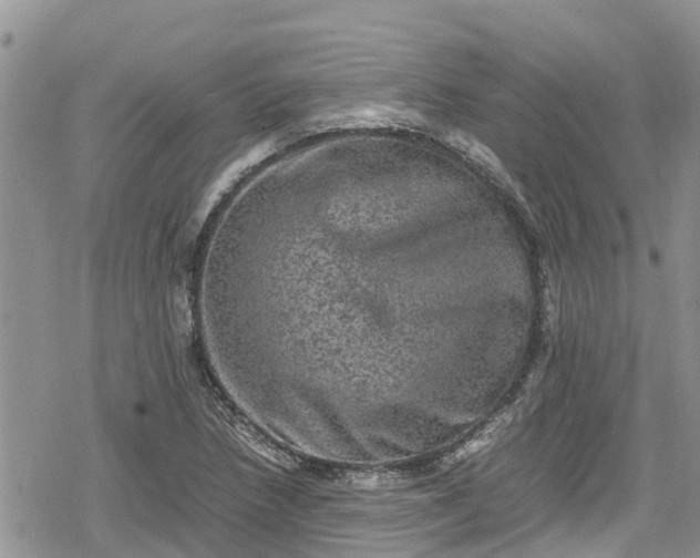 X0000078861218200611271403