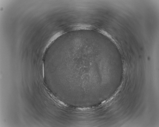 X0000078861219200611271403