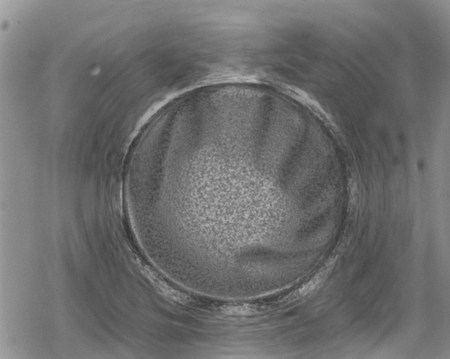 X0000078861220200611271403