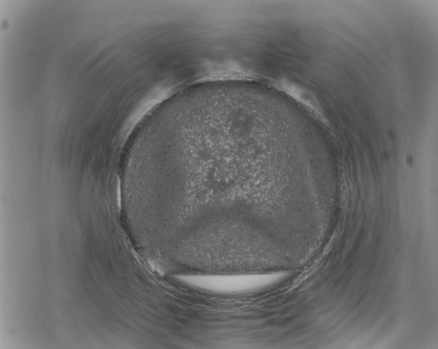 X0000078861221200611271403