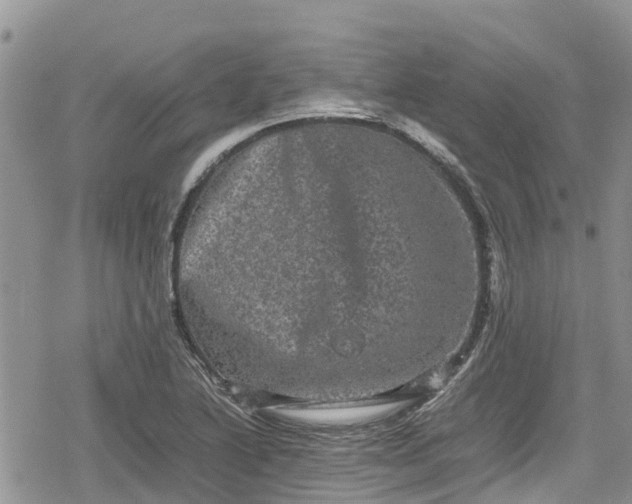 X0000078861222200611271403