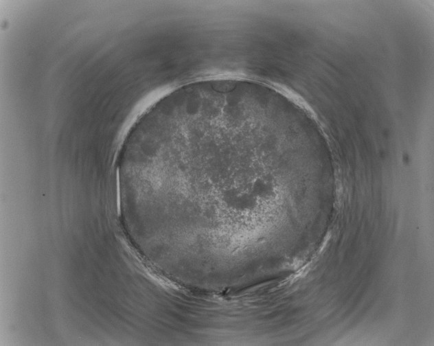 X0000078861223200611271403