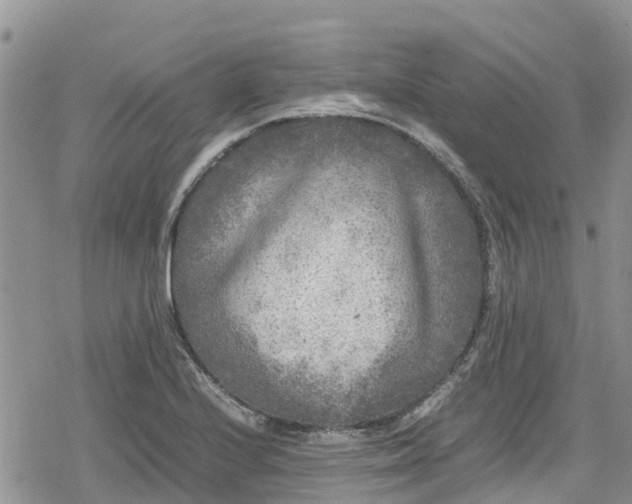 X0000078861224200611271403