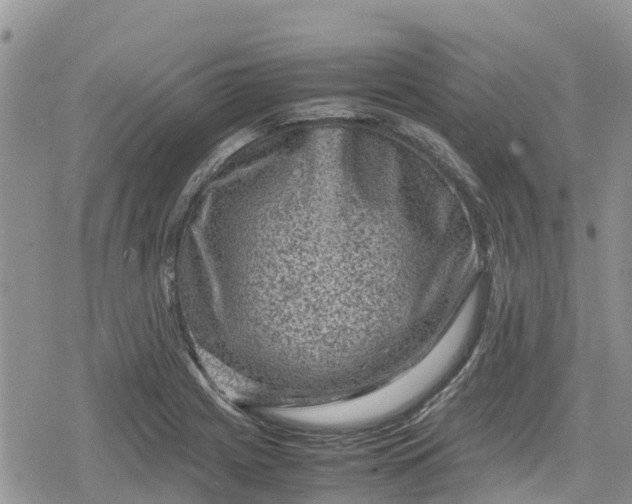 X0000078861225200611271403