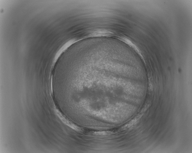 X0000078861227200611271403