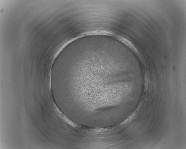 X0000078861228200611271403