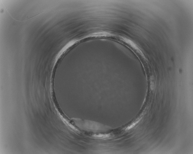 X0000078861229200611271403