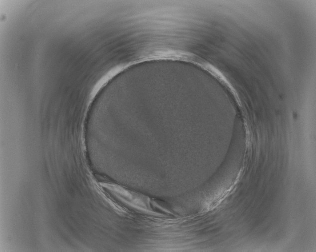 X0000078861230200611271403