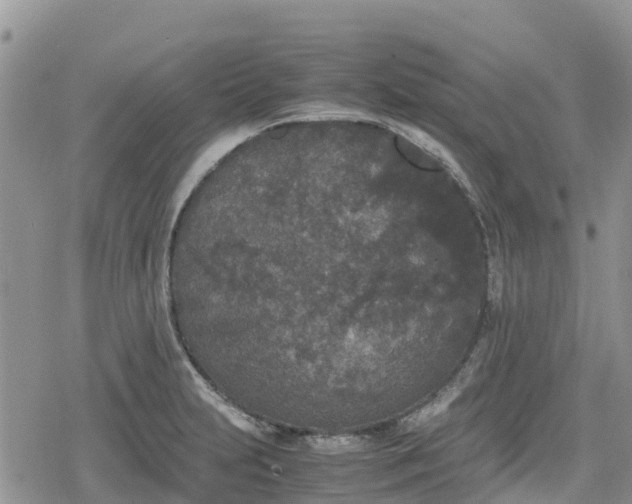 X0000078861231200611271403