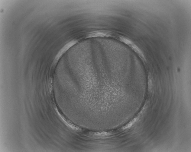 X0000078861233200611271404